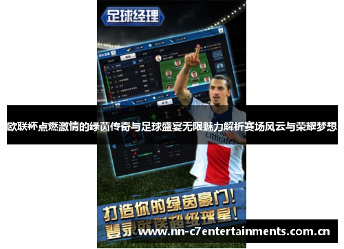 欧联杯点燃激情的绿茵传奇与足球盛宴无限魅力解析赛场风云与荣耀梦想